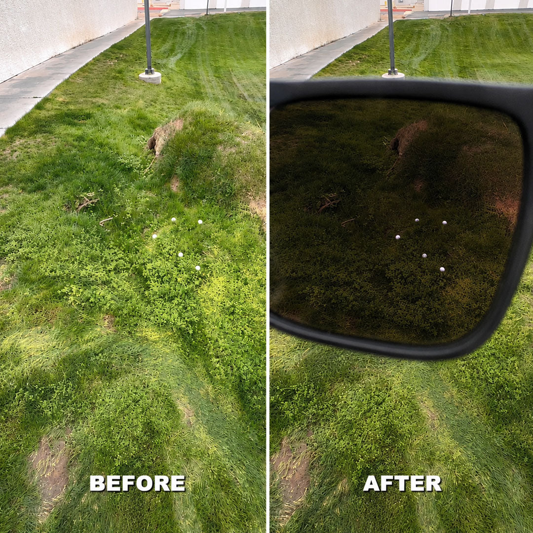 Polarized Golf Glasses